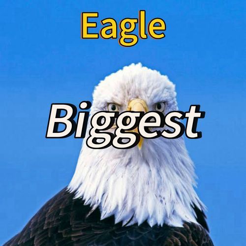 Biggest