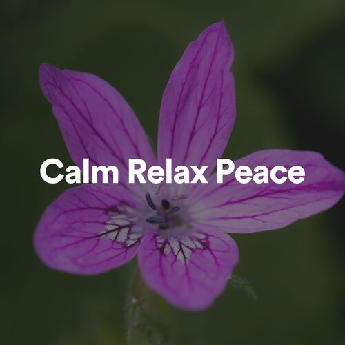 Calm Relax Peace_poster_image