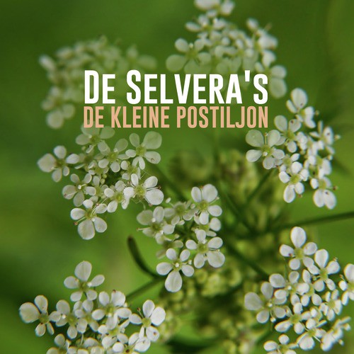 De Kleine Postiljon cover art