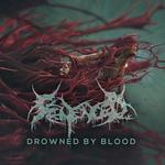 Exordium Mortem
