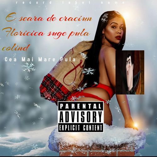 E seara de craciun floricica suge pula colind cover art
