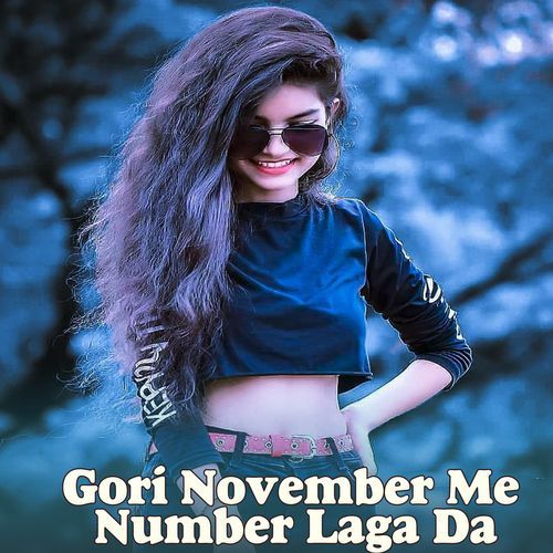 Gori November Me Number Laga Da