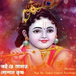 Koi Re Amar Gopal Krishna