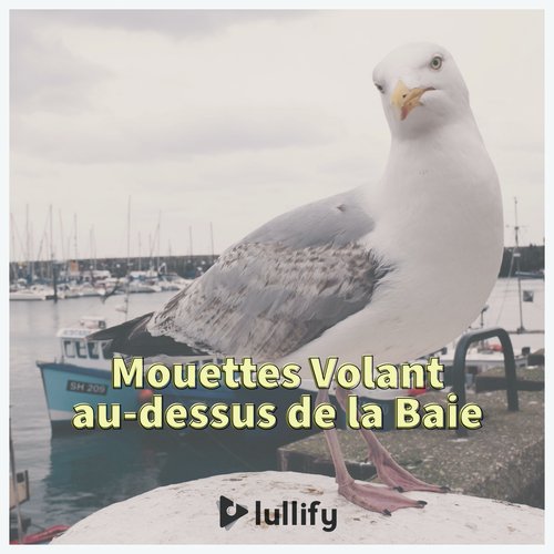 Regarder les mouettes cover art