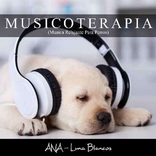 Ultimate Dog Relaxation cover art