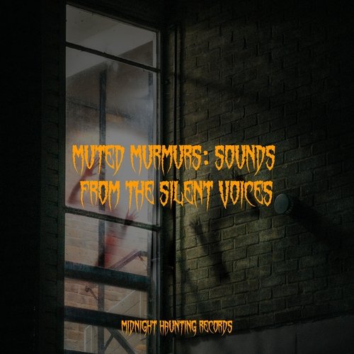 Muted Murmurs: Sounds from the Silent Voices_poster_image