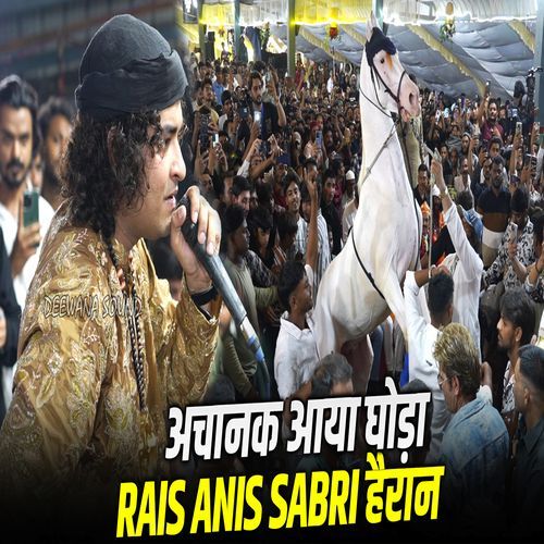 Nabi Nabi Salle Ala || Rais Anis Sabri