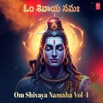 Om Shivaya Namaha Vol-4