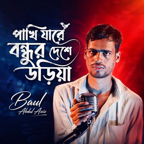 Pakhi Ja Re Bondhur Deshe Uriye