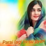 Parai lagi jiv su pyari