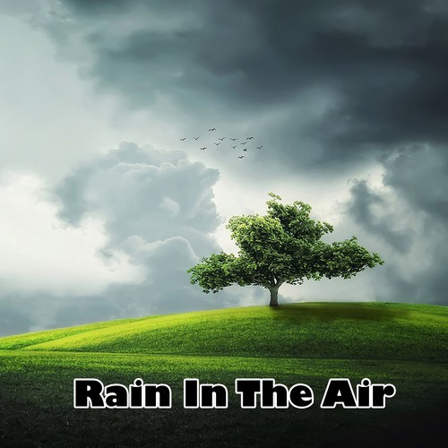 Rain In The Air
