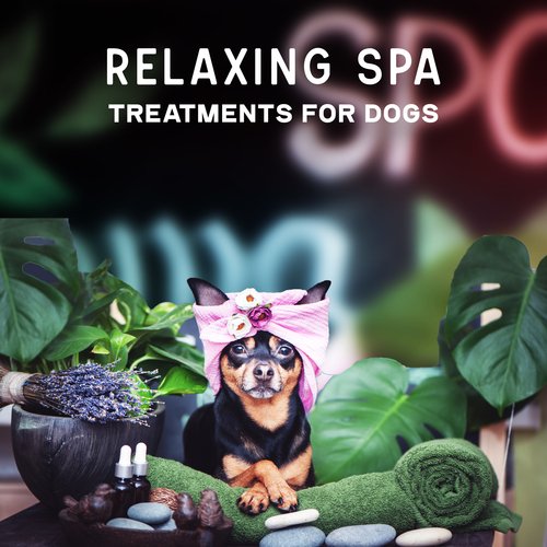 Pet Care Club cover art