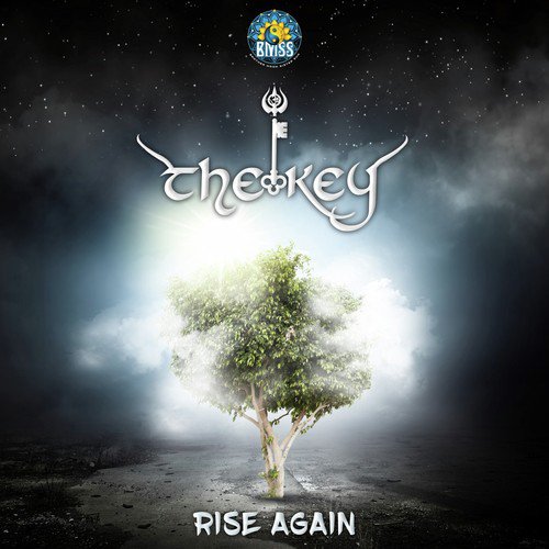 Rise Again