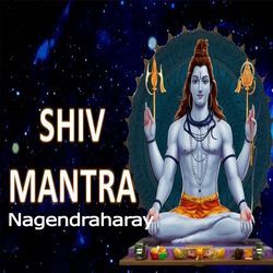 Shiv Mantra Nagendraharay-Pl4sWD5Xc1s