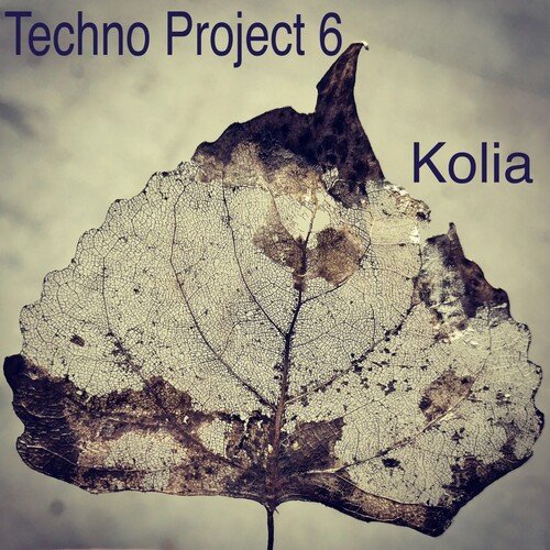 Techno Project 6 cover art