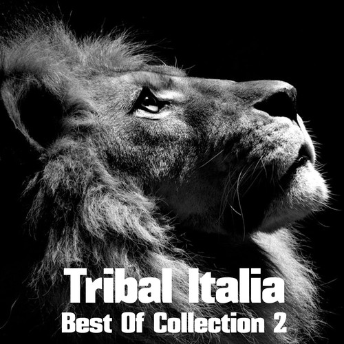 Tribal Italia Best of Collection, Vol. 2