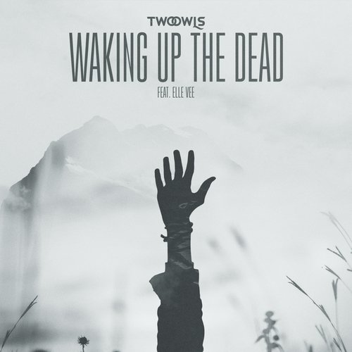 Waking Up The Dead (feat. Elle Vee)_poster_image