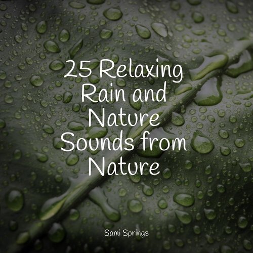 25 Relaxing Rain and Nature Sounds from Nature