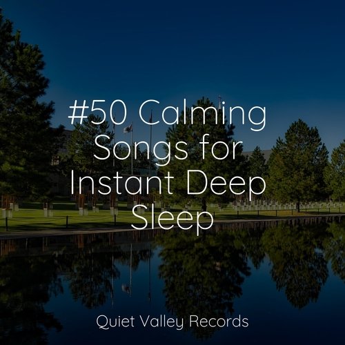 #50 Calming Songs for Instant Deep Sleep
