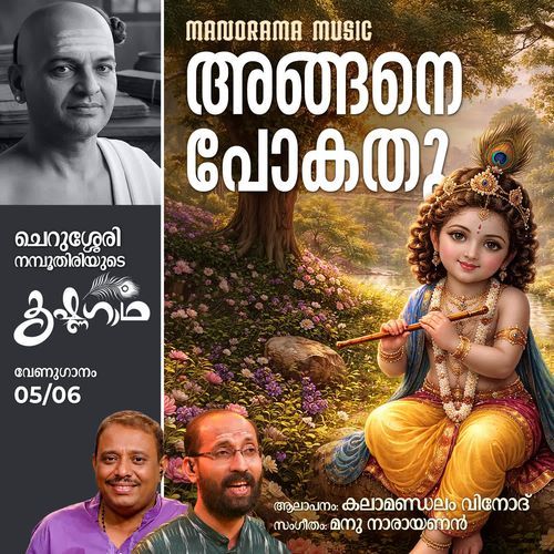 Angane Pokathu