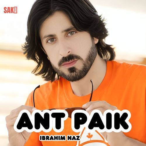 Ant Paik