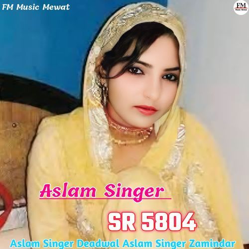 Aslam Singer SR 8504