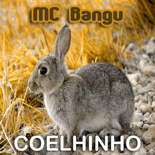 Ana Paraguaia cover art