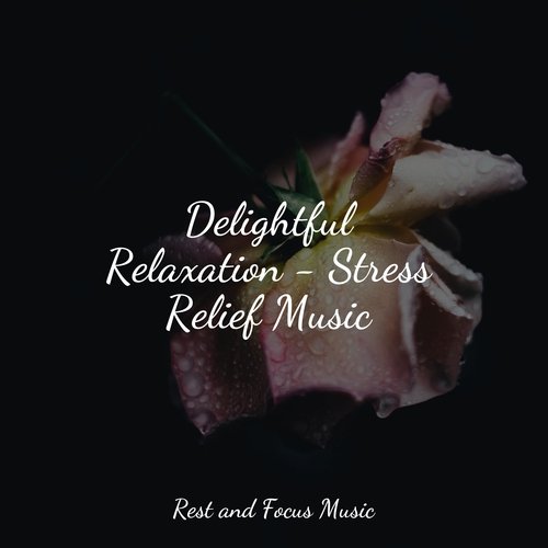 Delightful Relaxation - Stress Relief Music