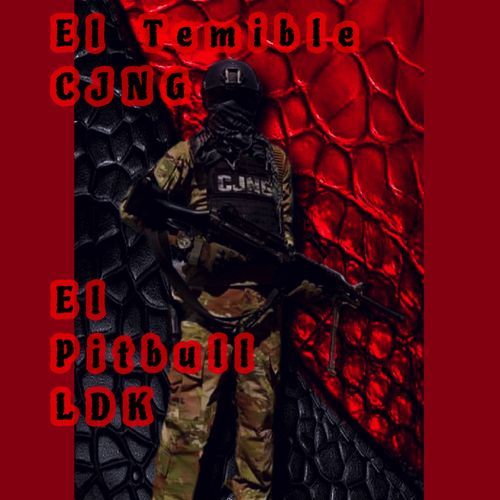 El Temible Cjng_poster_image