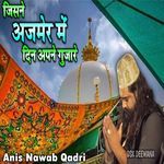 जिसने अजमेर में दिन अपने गुजारे ख़्वाजा | Garib Nawaz Qawwali