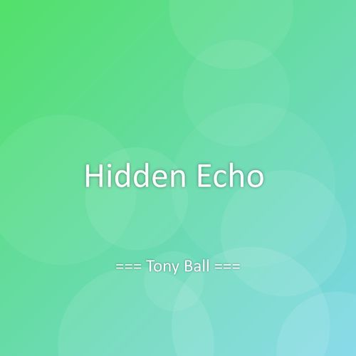 Hidden Echo cover art