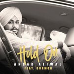 Hold On
