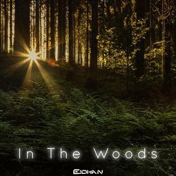 In The Woods-Jj07Vj4GBAQ