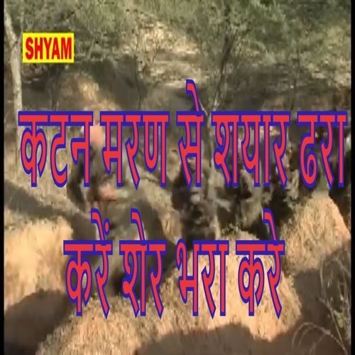 Katan Maran Se Shyaal Daraan Karen Sher Bhraan Karen (Original)
