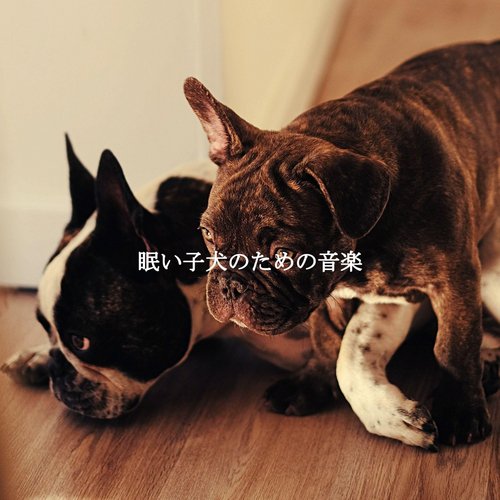 Casual (Unwinding Mode) cover art