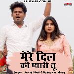 Mere dil ki pyari too (Hindi)