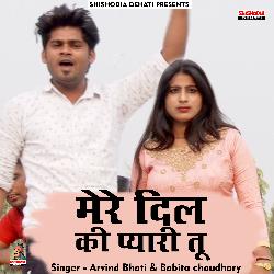 Mere dil ki pyari too (Hindi)