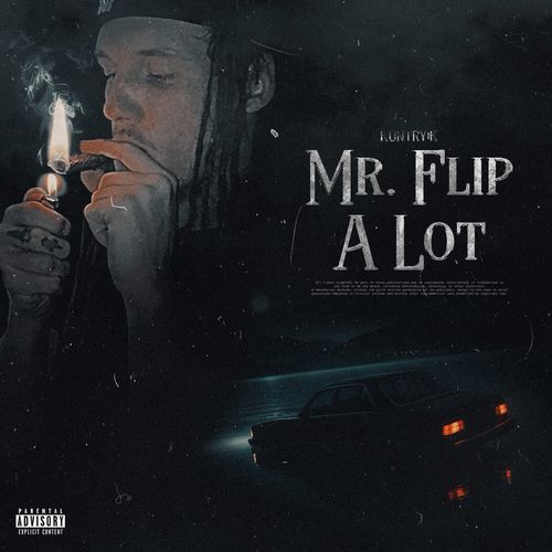 Mr. Flip a Lot cover art