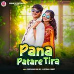 Pana Patara Tira artwork