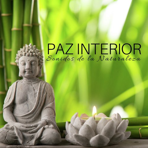 Paz Interior: Paz Interior, Sonidos de la Naturaleza, Sentimiento Positivo, Música Relajante Instrumental_poster_image