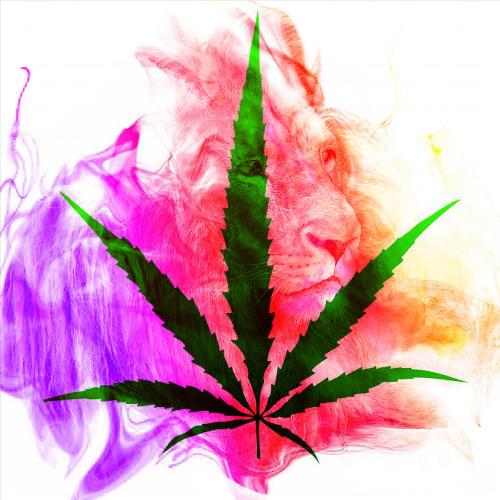 Kingston (Reggae Extended Mix) cover art