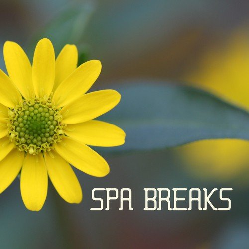 Spa Paradise cover art