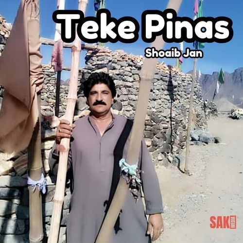 Teke Pinas