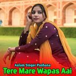 Tere Mare Wapas Aai
