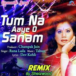 Tum Na Aaye O Sanam - Remix-MQ8FUAxxYkM