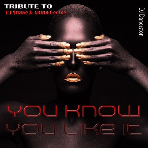 You Know You Like It (Tribute to DJ Snake &amp; Aluna George)_poster_image