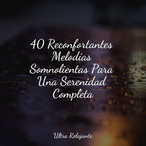 Sonidos Relajantes cover art