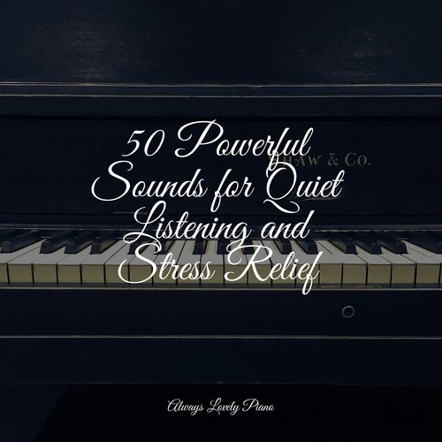 50 Powerful Sounds for Quiet Listening and Stress Relief_poster_image