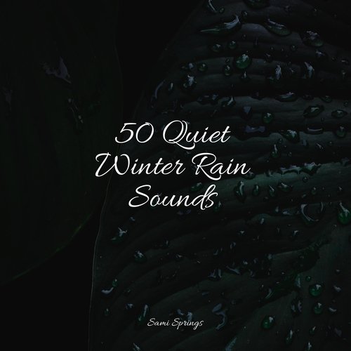 Rain, Storm and Thunder cover art
