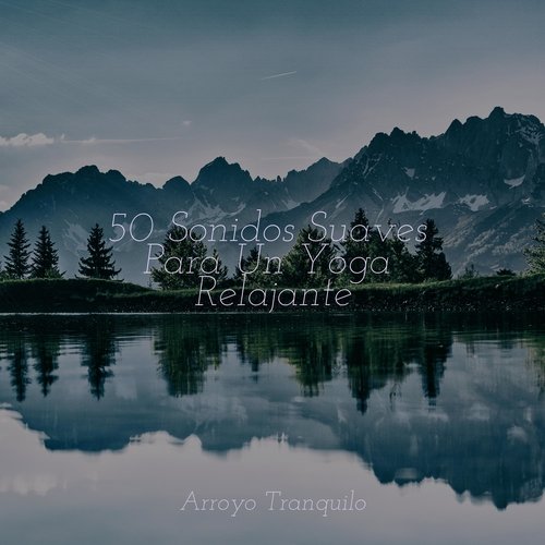 Relajación cover art